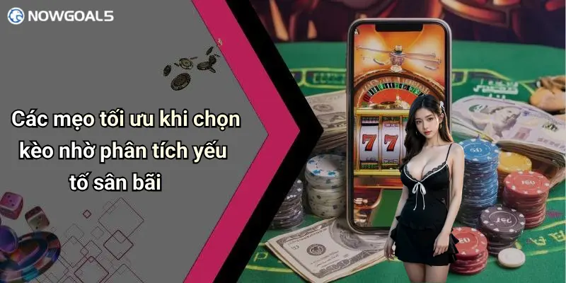 Các mẹo tối ưu khi chọn kèo nhờ phân tích yếu tố sân bãi