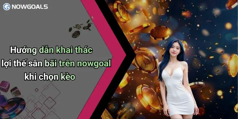 Hướng dẫn khai thác lợi thế sân bãi trên nowgoal khi chọn kèo