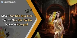 Mẹo Chọn Kèo Dựa Trên Yếu Tố Sân Bãi: Tối Ưu Dự Đoán Nowgoal