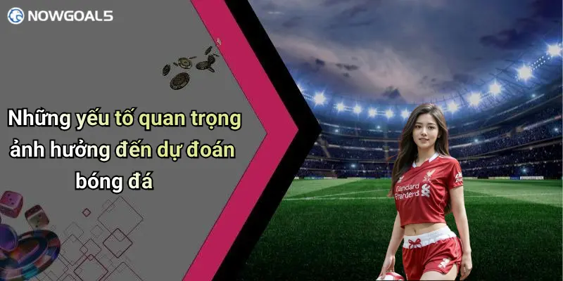 Những yếu tố quan trọng ảnh hưởng đến dự đoán bóng đá
