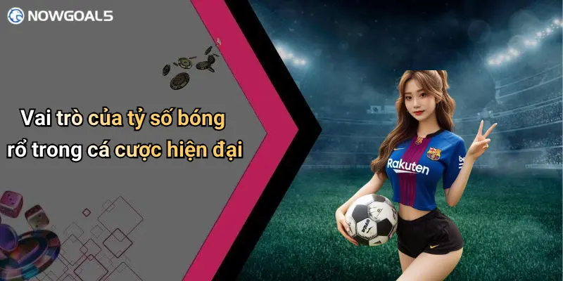 Vai trò của tỷ số bóng rổ trong cá cược hiện đại