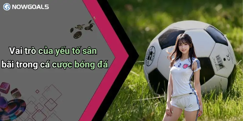 Vai trò của yếu tố sân bãi trong cá cược bóng đá