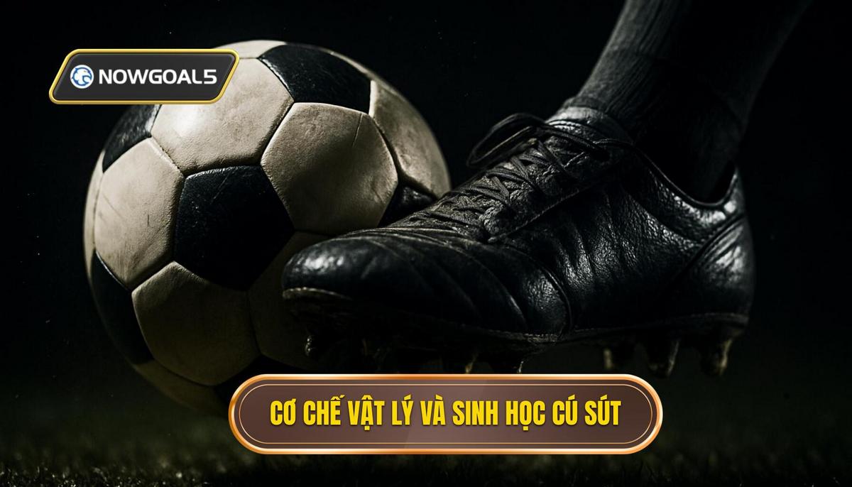 Cơ chế vật lý và sinh học của Cú Sút Mũi Giày (Toe Poke)